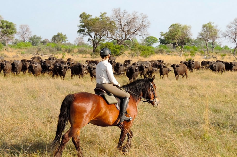 Horse Riding Safari in Uganda